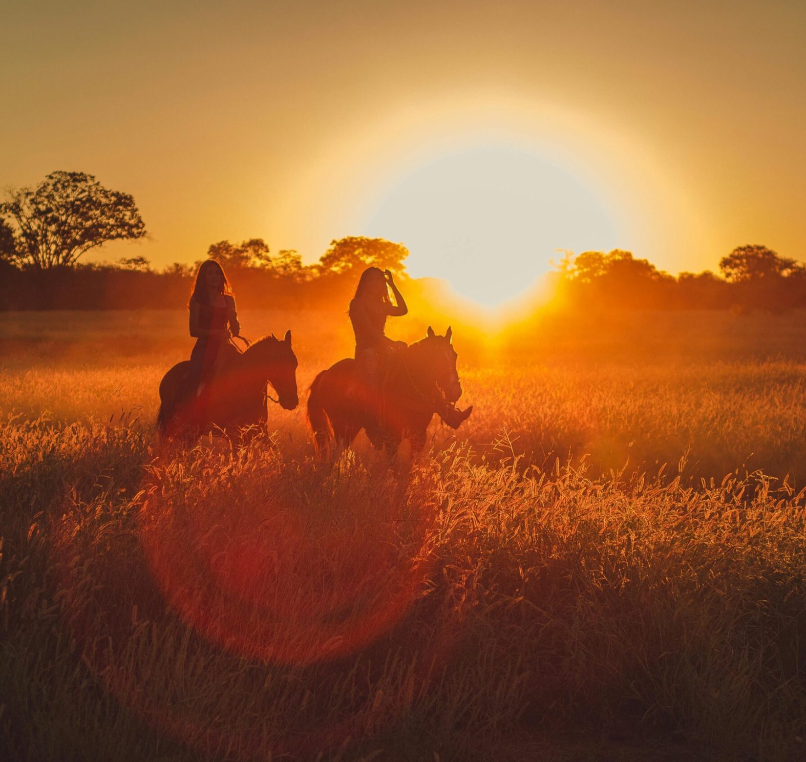 Söderåsens Nationalpark: 2,5h horse back ride
